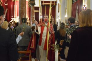 Palmas en el Domingo de Ramos de 2021