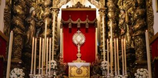 La O en el Congreso Internacional de Hermandades