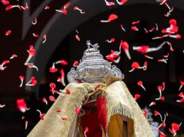 Acción de gracias Majestad 2026